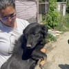 Fröhliche MAYA sucht ihre Menschen