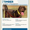 TIMBER - verspielt und neugierig