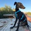 LUNA (Martina)