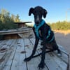 LUNA (Martina)