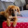 DELEDDA  sonnig offen menschenbezogen