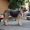 Fergy💕aufmerksam und intelligent