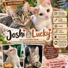 JOSHI & LUCKY  WO SIND EURE MENSCHEN?
