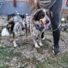 Hingucker Jonte sucht seine Familie