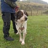 Hingucker Jonte sucht seine Familie