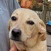 NALA  ein kleines Glück auf vier Pfoten