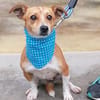 Nuska - 35 cm sucht Kuschelpartner