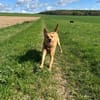 Ken -menschenbezogen, verschmust-