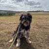 Benito - der aktive Naturliebhaber