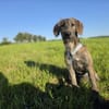 Lara wünscht sich eine eigene Familie