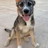 RUMBA (Martina)