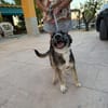RUMBA (Martina)