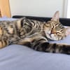 Mimie jolie