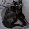 ***LUCE und RAPHIE!***