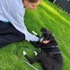 🐾 Fibs  ein Herz auf vier Pfoten sucht sein Glück! 🐾