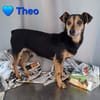 Theo - ein kleiner Süßer