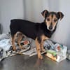 Theo - ein kleiner Süßer
