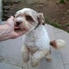 Malte - ein kleiner Charmeur