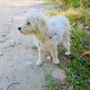 Eddie ein tolles Kerlchen