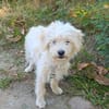 Eddie ein tolles Kerlchen