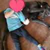 Bandit - Hundekenner aufgepasst!
