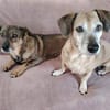 Elis & Bred.. zwei kleine Herzen, die zusammen gehören