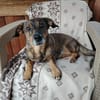 Elis & Bred.. zwei kleine Herzen, die zusammen gehören