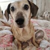 Elis & Bred.. zwei kleine Herzen, die zusammen gehören