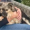 Kuma, aufgeschlossen, freundlich