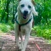 Coco, freundlich, aktiv, schmusig
