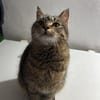 Jacky wartet auf ihr Stück vom Glück