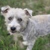 Lory braucht dringend eine Chance (I)