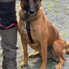 Ruby  ein ungesehener Rubin