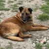 Ruby  ein ungesehener Rubin