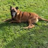 Ruby  ein ungesehener Rubin