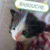 BABOUCHE