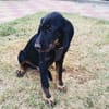 Georgi ein zauberhaftes Kerlchen