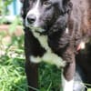 Athos - kinderlieb u. unkompliziert