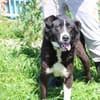 Athos - kinderlieb u. unkompliziert