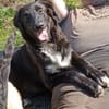 CAMUS  Familienanschluss gesucht