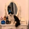 Lou sucht ihr Zuhause