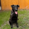 BEPPO - das Beste aus zwei Welten bringe ich mit