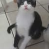 BIJOU