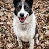 ZELDA, sportlich und intelligent