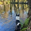 ZELDA, sportlich und intelligent