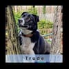 TRUDE, ein Schatz