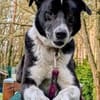 TRUDE, ein Schatz