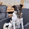 Mira wünscht sich einfühlsame Menschen mit Spaß am Kuscheln