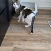 Lounis - Kleiner Charmeur sucht dich