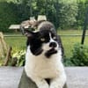 Knut - Fiverling sucht sein Happy End